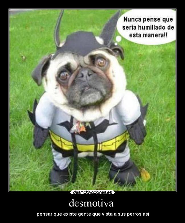 carteles perrobatman desmotivaciones