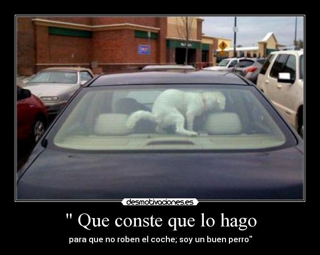 carteles que conste hago roben coche soy buen perro acv mear cagar desmotivaciones