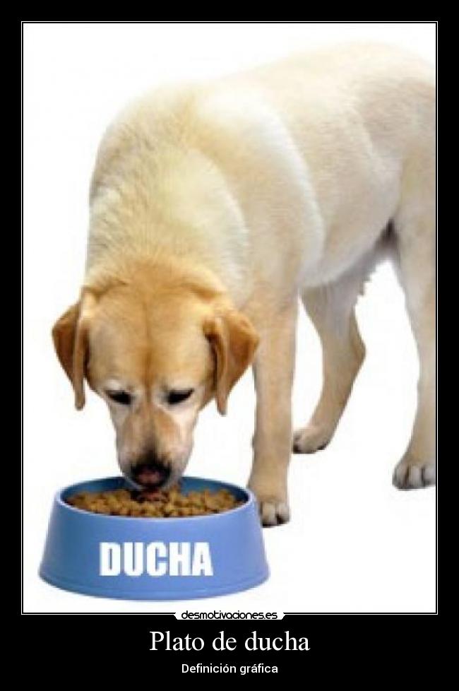 Plato de ducha - Definición gráfica