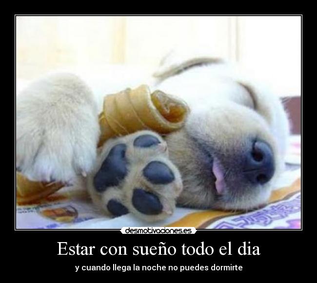 Estar con sueño todo el dia -