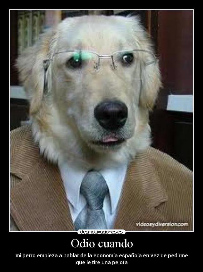 Odio cuando - mi perro empieza a hablar de la economía española en vez de pedirme
que le tire una pelota