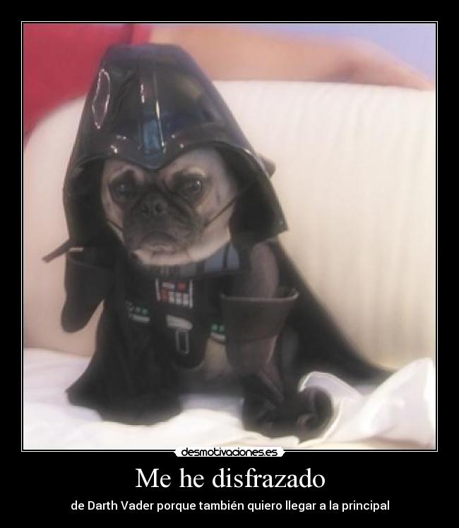 Me he disfrazado - de Darth Vader porque también quiero llegar a la principal