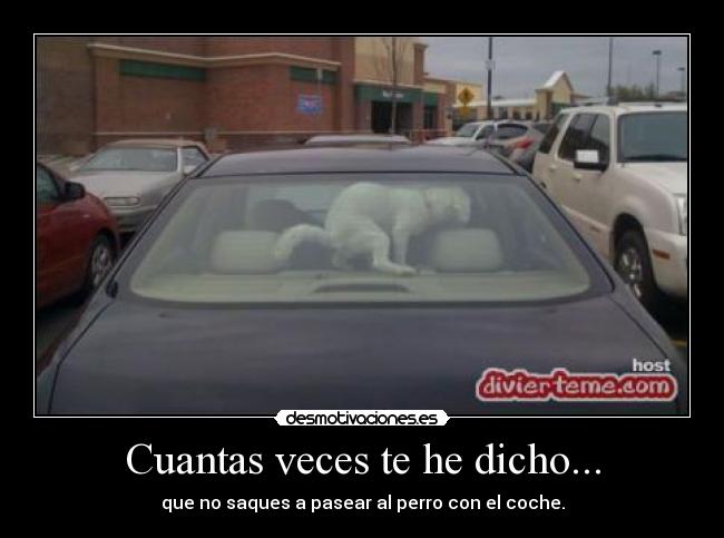 Cuantas veces te he dicho... - que no saques a pasear al perro con el coche.