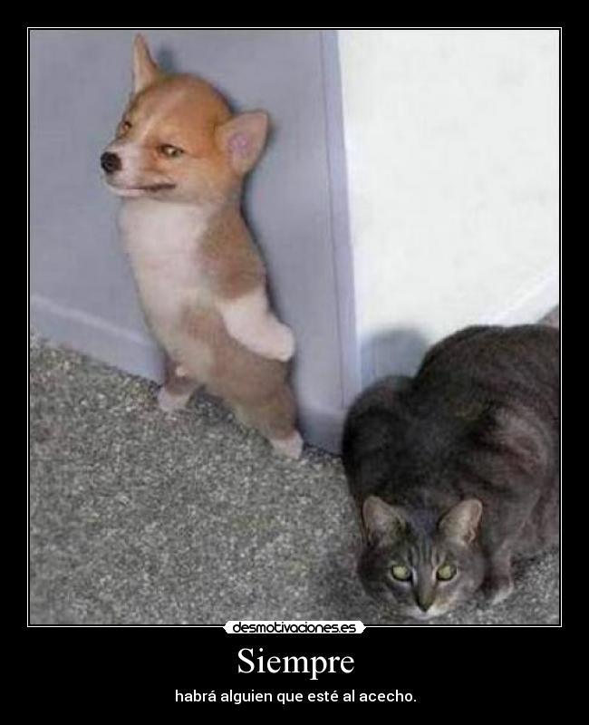 Siempre - habrá alguien que esté al acecho.