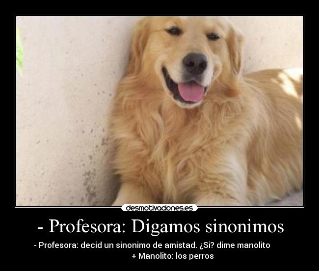 - Profesora: Digamos sinonimos - 