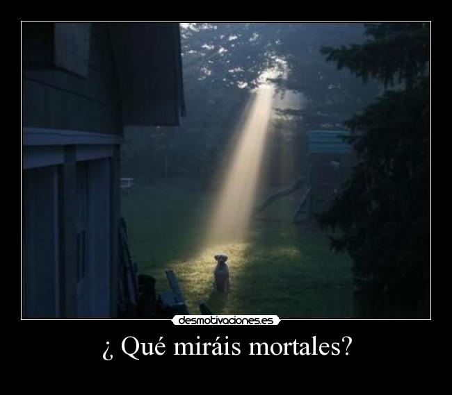 ¿ Qué miráis mortales? - 