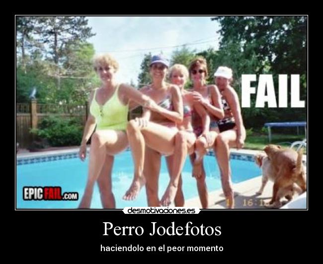 Perro Jodefotos - haciendolo en el peor momento