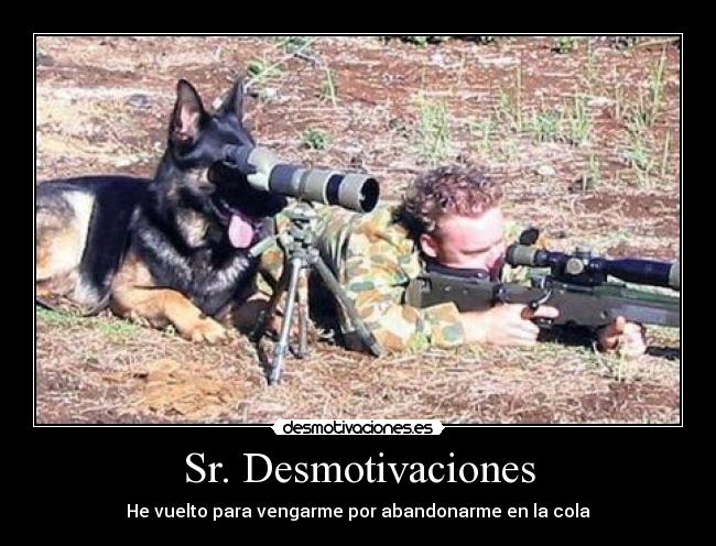 Sr. Desmotivaciones - 