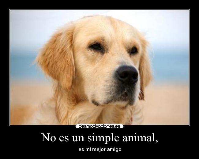 No es un simple animal, - 