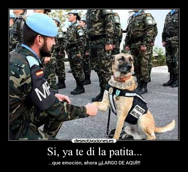 Si, ya te di la patita... - ...que emoción, ahora ¡¡¡LARGO DE AQUÍ!!!