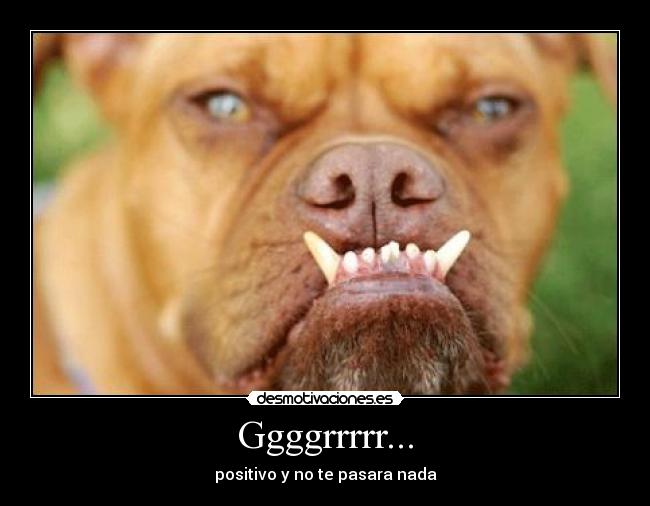 Ggggrrrrr... - 