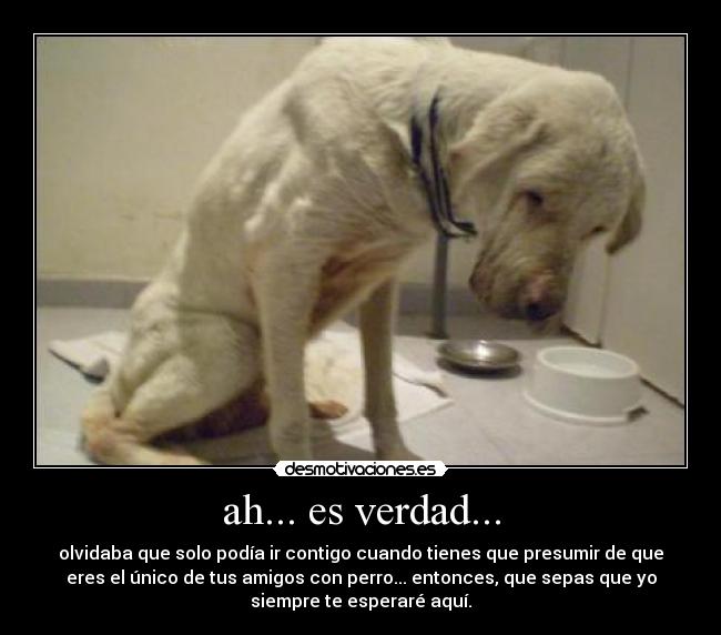 ah... es verdad... - 