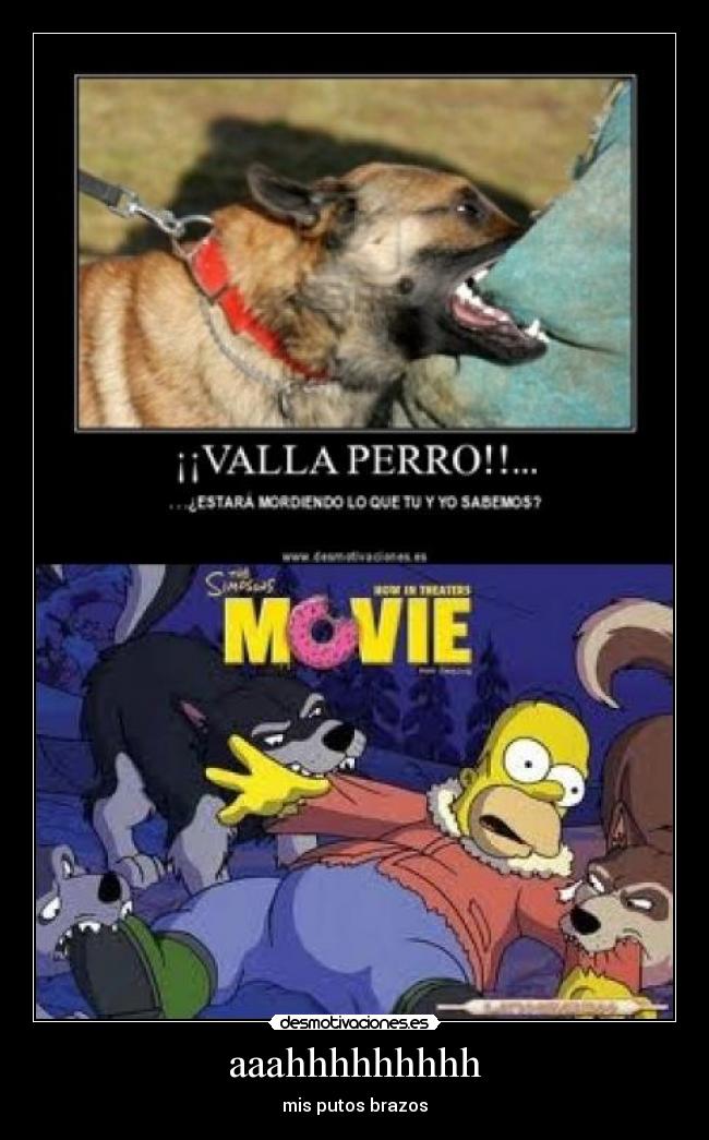 aaahhhhhhhhh - mis putos brazos