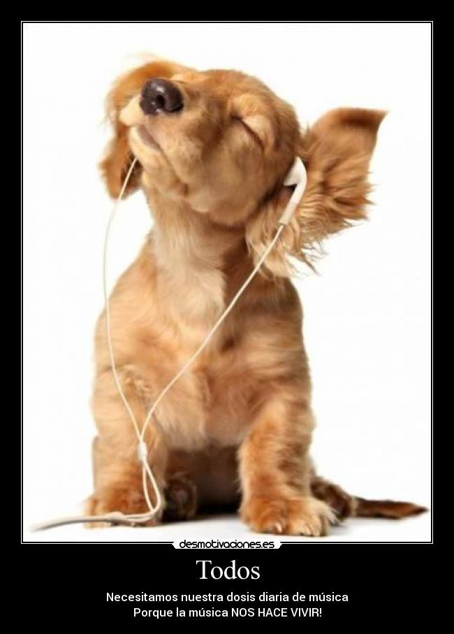 carteles musica desmotivaciones