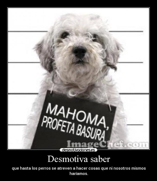 Desmotiva saber -