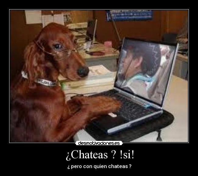 ¿Chateas ? !si! -