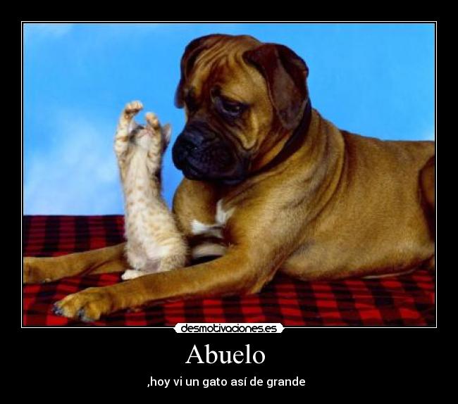 carteles abuelo desmotivaciones