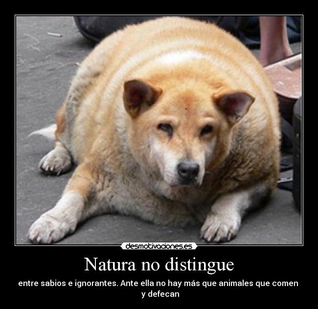 Natura no distingue - entre sabios e ignorantes. Ante ella no hay más que animales que comen 
 y defecan