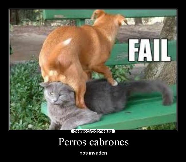 Perros cabrones -