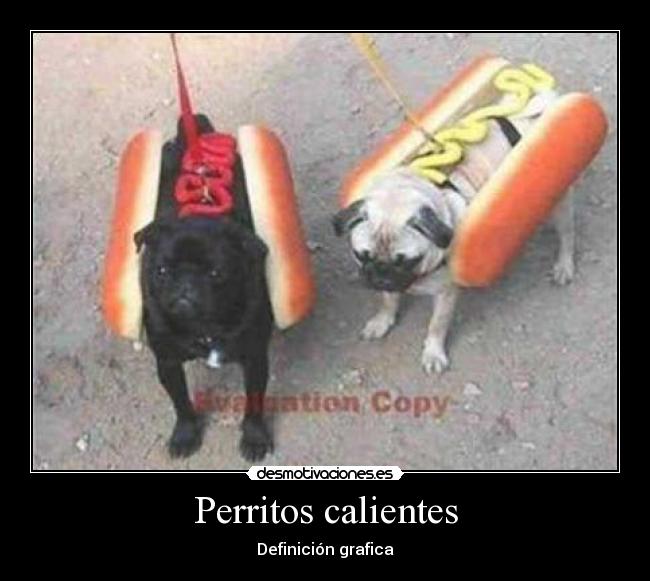 Perritos calientes - Definición grafica