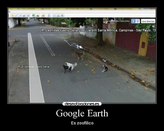Google Earth - Es zoofilico