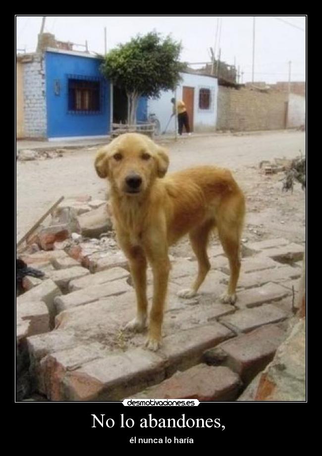 No lo abandones, -