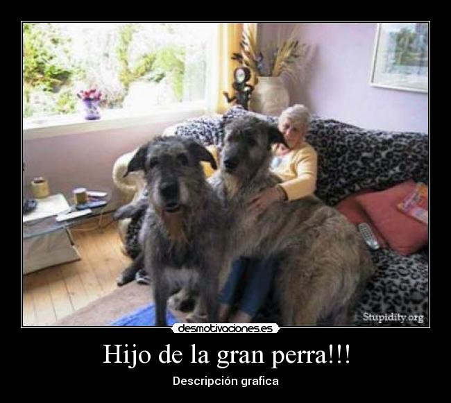 Hijo de la gran perra!!! -