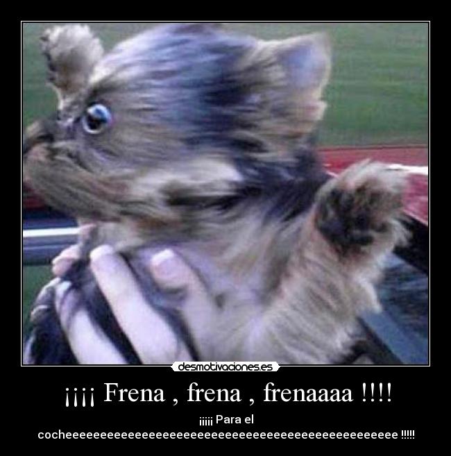 ¡¡¡¡ Frena , frena , frenaaaa !!!! - 