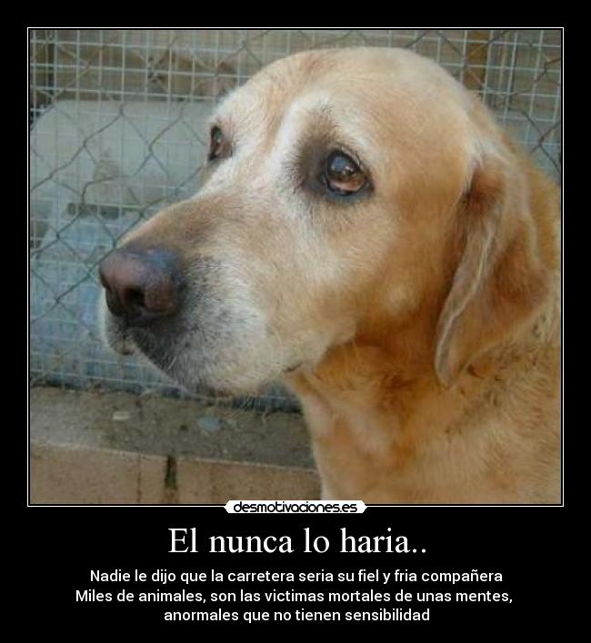 El nunca lo haria.. -