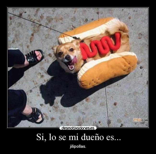 Si, lo se mi dueño es... - jilipollas.