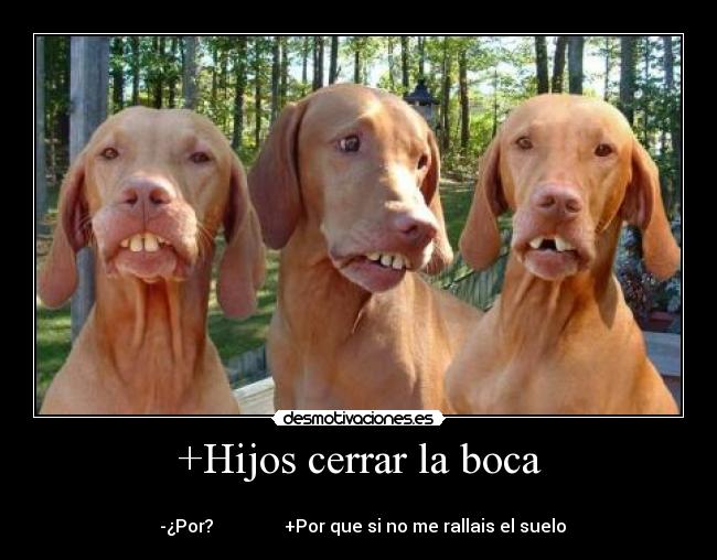 +Hijos cerrar la boca -