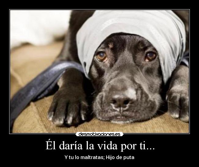 Él daría la vida por ti... - 