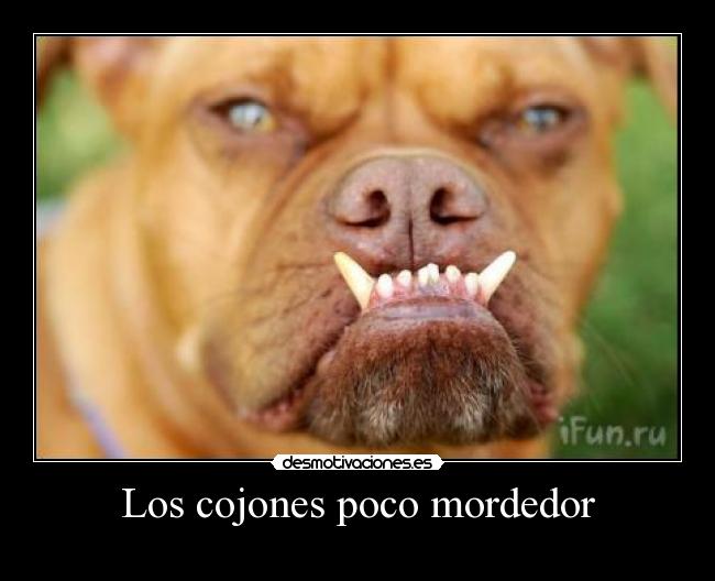 Los cojones poco mordedor -