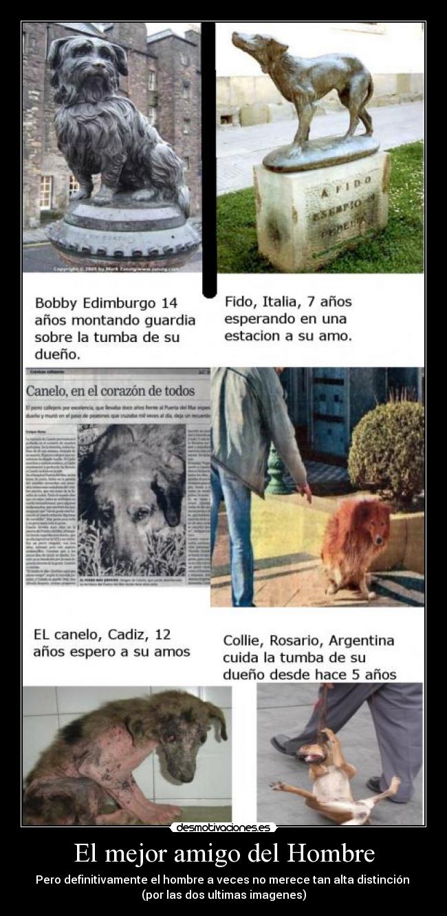 El mejor amigo del Hombre - Pero definitivamente el hombre a veces no merece tan alta distinción
(por las dos ultimas imagenes)