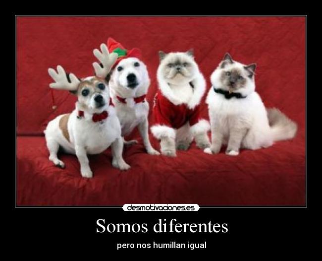 Somos diferentes - 