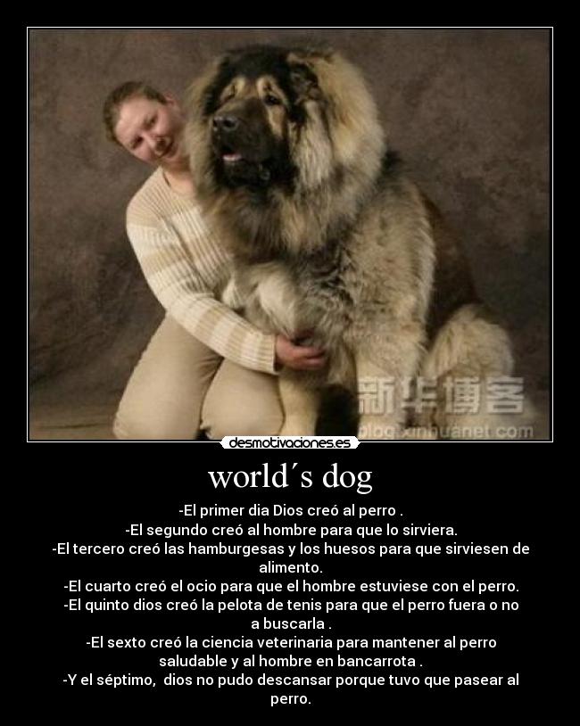world´s dog - 