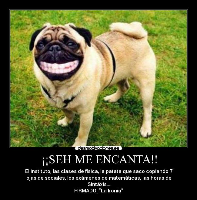 ¡¡SEH ME ENCANTA!! - 