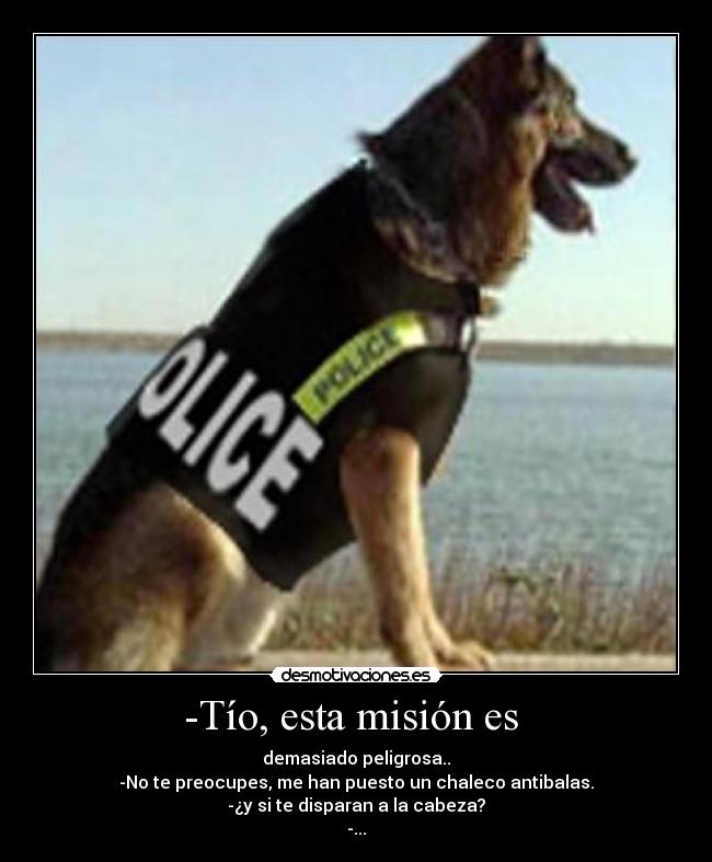 -Tío, esta misión es - demasiado peligrosa..
-No te preocupes, me han puesto un chaleco antibalas.
-¿y si te disparan a la cabeza?
-...