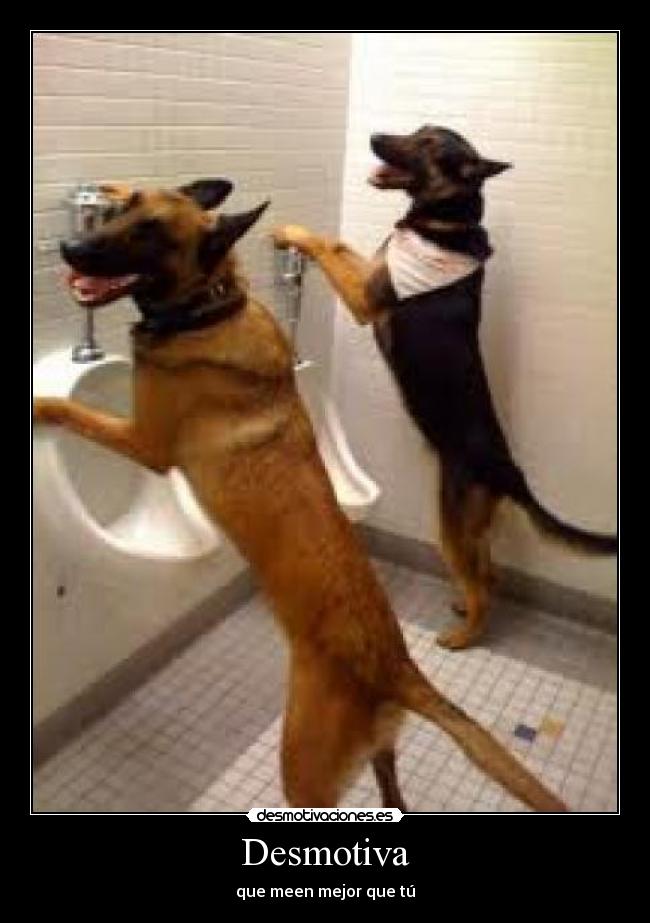 Desmotiva - que meen mejor que tú