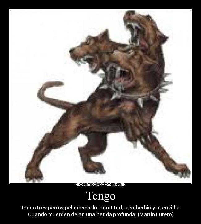 Tengo -
