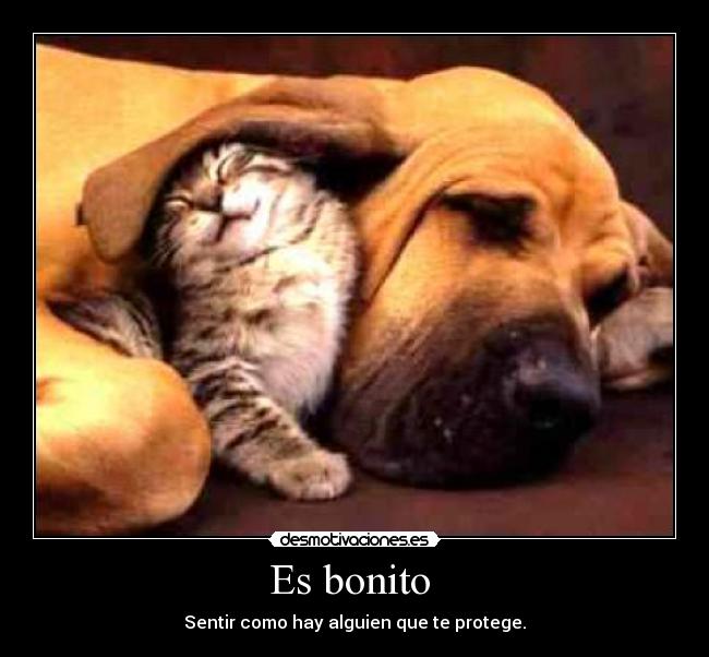 Es bonito -