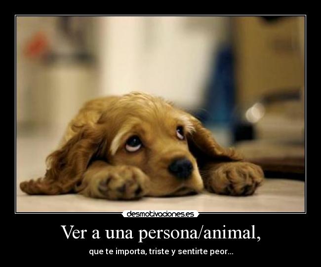Ver a una persona/animal, -