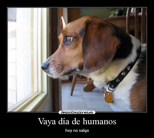 Vaya día de humanos -