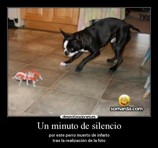 Un minuto de silencio - 