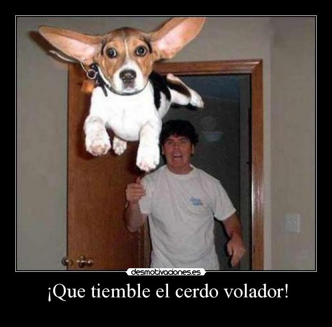 ¡Que tiemble el cerdo volador! - 