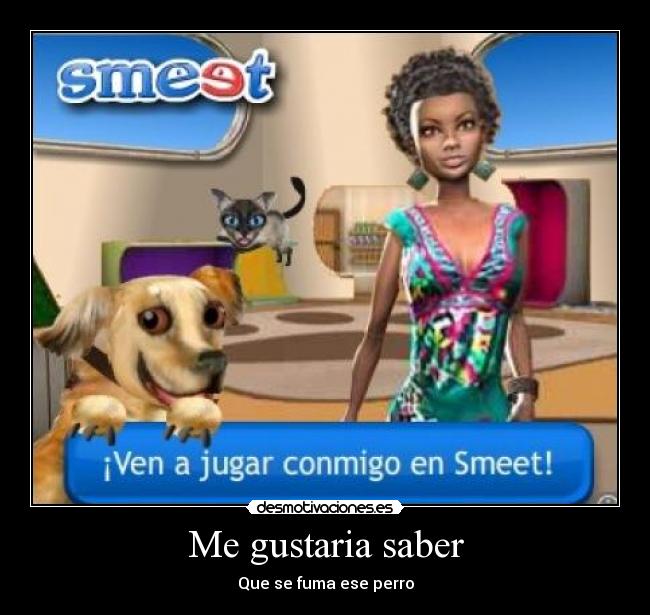 Me gustaria saber - Que se fuma ese perro