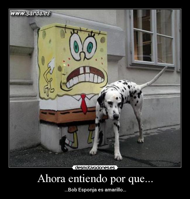 Ahora entiendo por que... - ...Bob Esponja es amarillo...