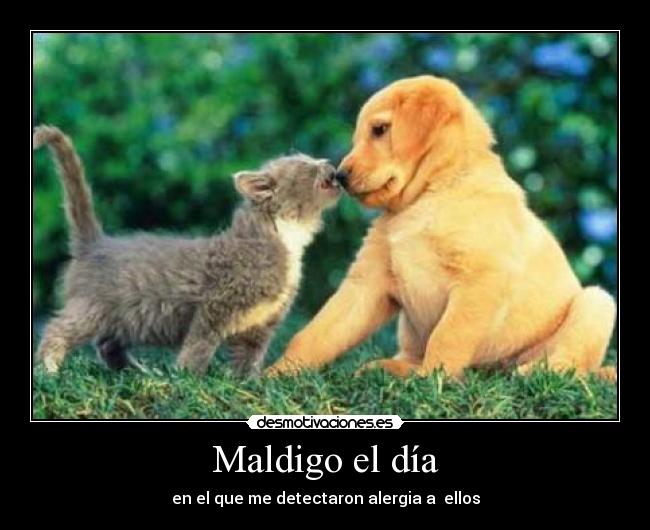 Maldigo el día - 
