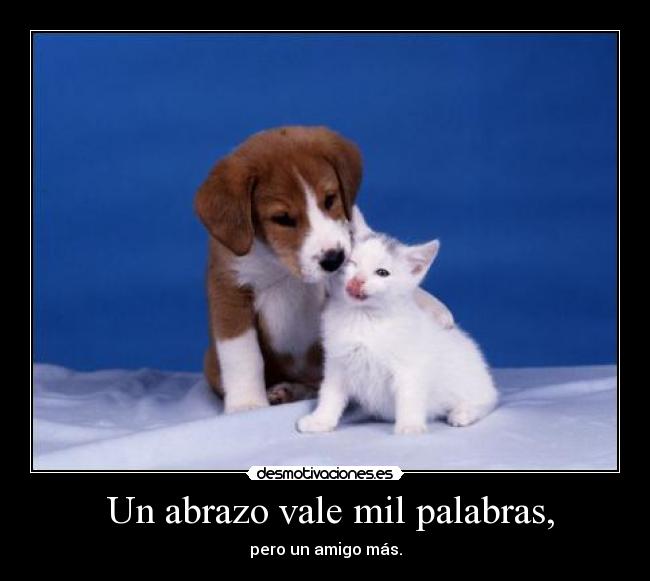 Un abrazo vale mil palabras, - pero un amigo más.