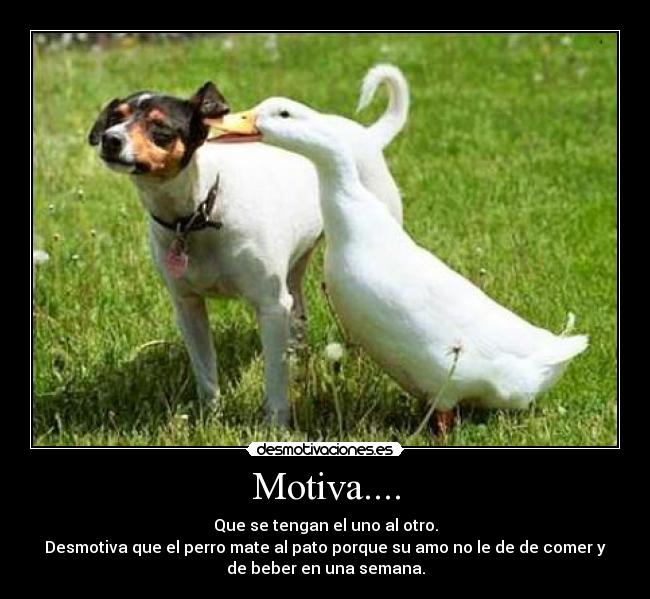 Motiva.... - Que se tengan el uno al otro.
Desmotiva que el perro mate al pato porque su amo no le de de comer y
de beber en una semana.